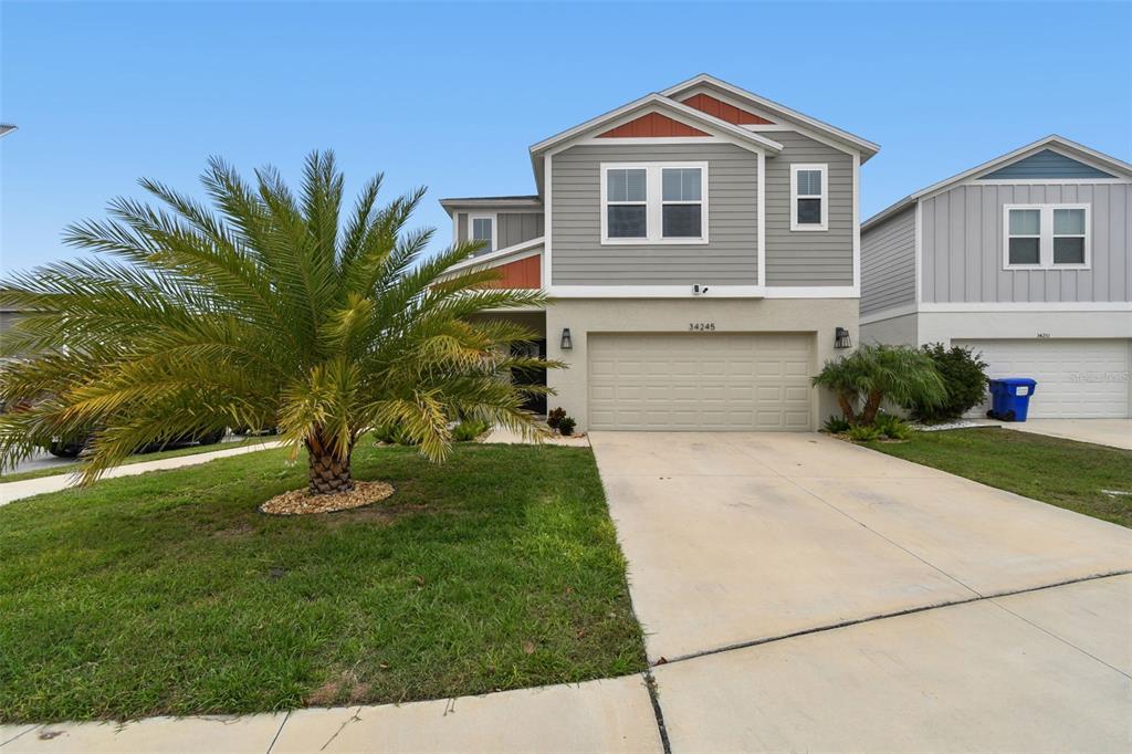 34245 Verbena Street Wesley Chapel, FL 33545 - Photo 3 of 44