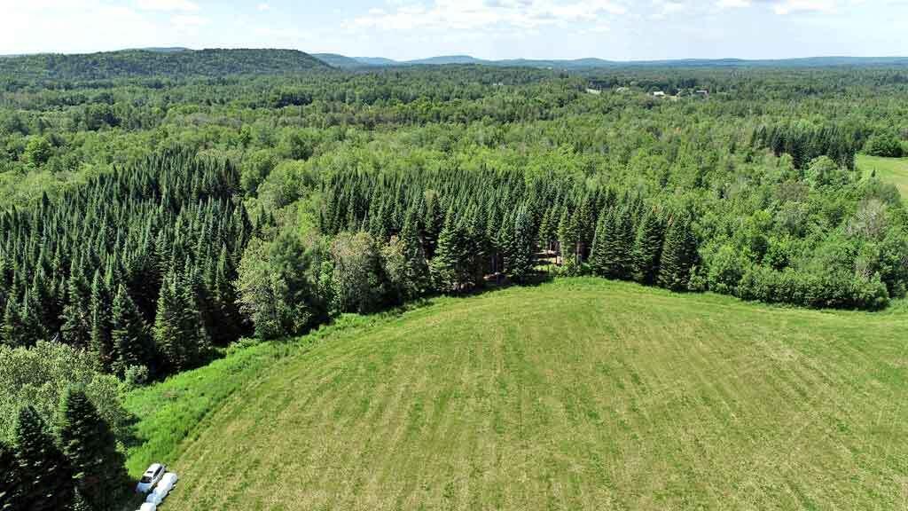 Lot 7 Drews Lake Road Houlton, ME 04730 - Photo 11 of 34 land-farm-maine-agriculture
