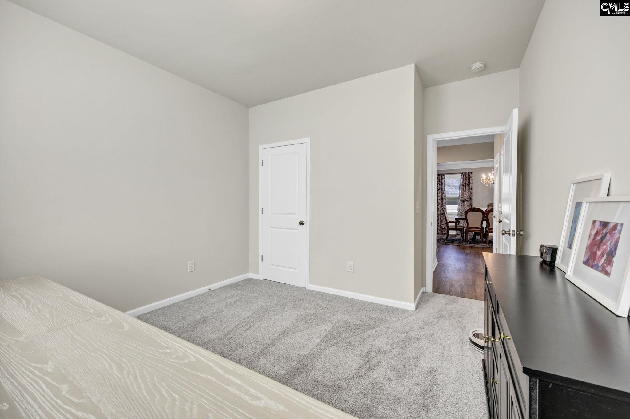 209 Chapin Pl Way Chapin, SC 29036 - Photo 22 of 53