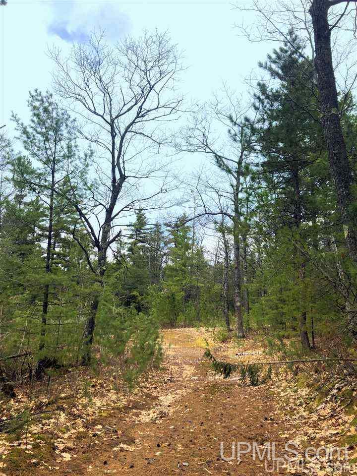 Tbd Valley Road Marquette, MI 49855 - Photo 28 of 59
