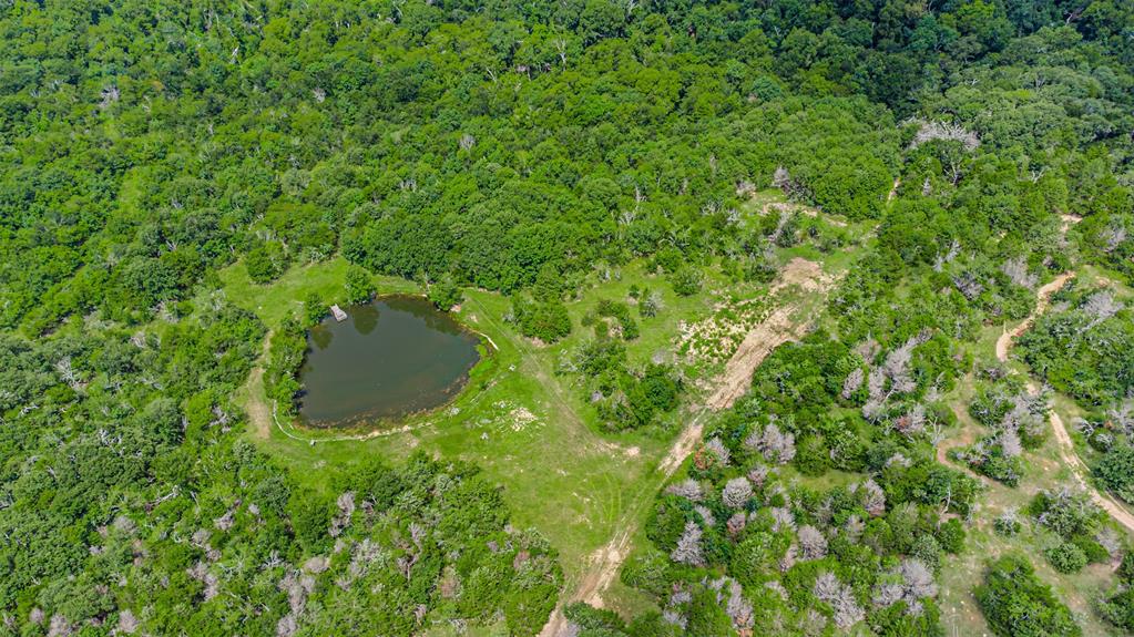 7821 Highway 34 Terrell, TX 75161 - Photo 12 of 38