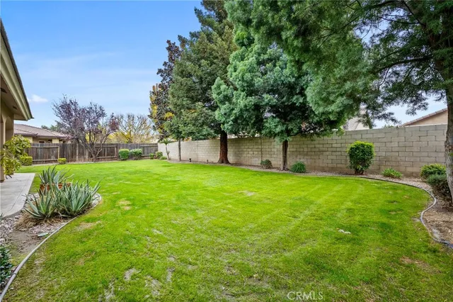 a view of a garden with a tree