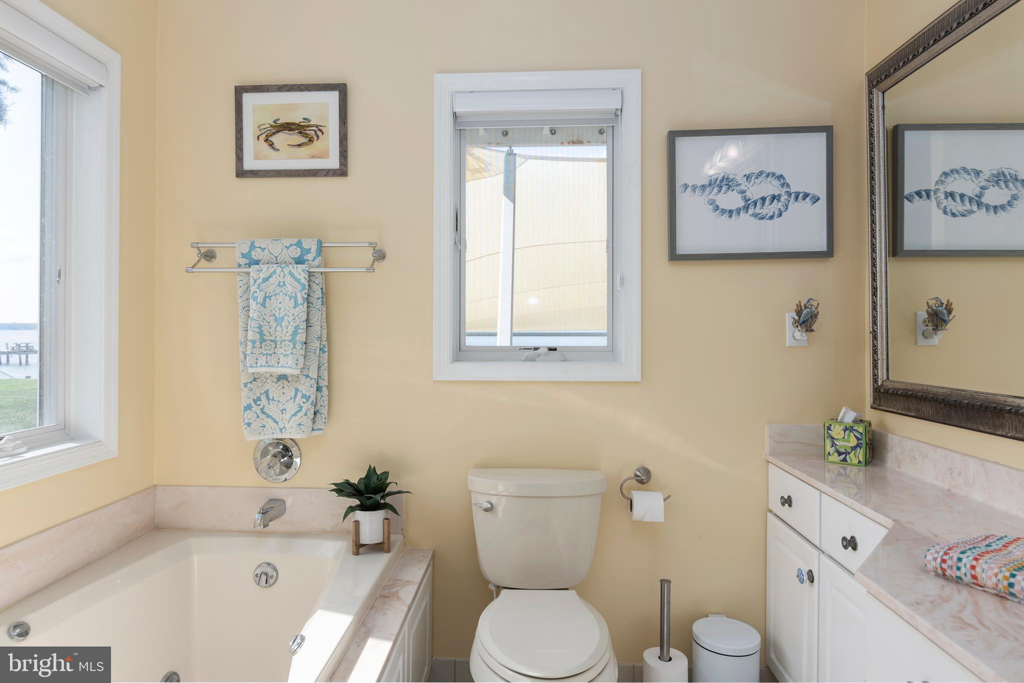 1724 Ferry Point Court Trappe, MD 21673 - Photo 51 of 59 Soaking Tub