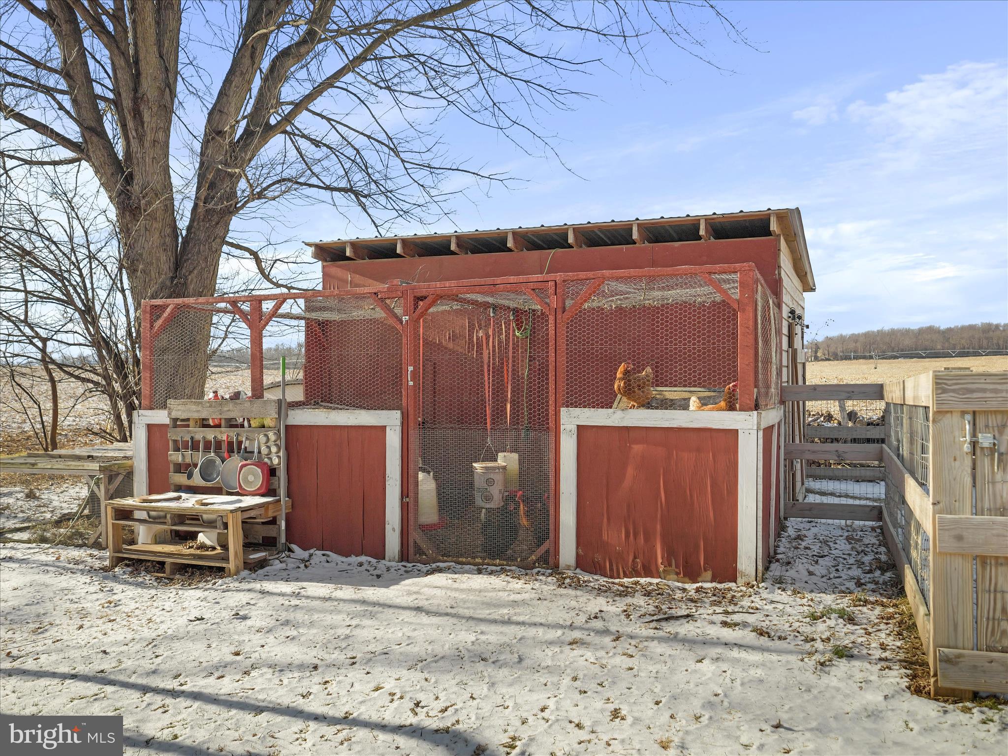 5871 Olde Scotland Road Shippensburg, PA 17257 - Photo 27 of 31 Run in Sheds
