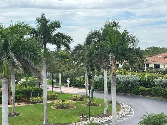 a garden with palm trees