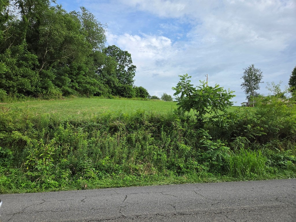 Lot 21 Rural Retreat Lake Road, Unit 21 Rural Retreat, VA 24368 - Photo 5 of 16 Gallery Image 5
