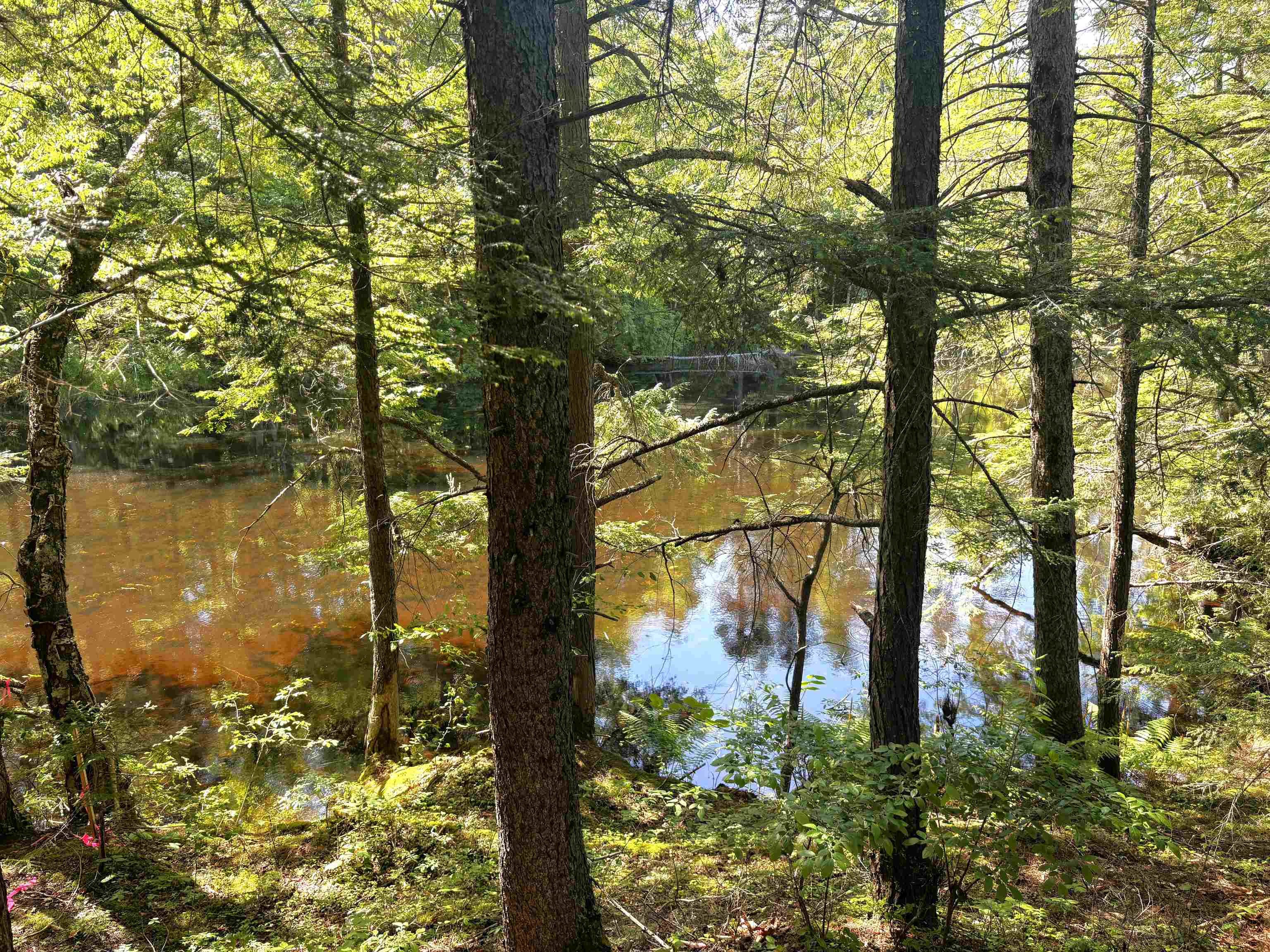 Lot 8 Stonebridge Road Wilmot, NH 03287 - Photo 25 of 31