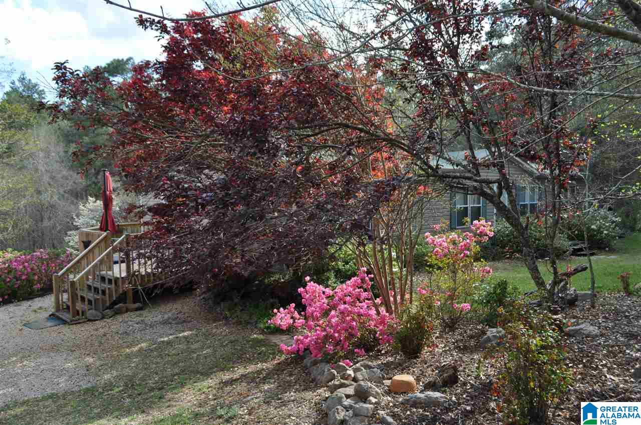 36 River Run Circle Lineville, AL 36266 - Photo 7 of 31