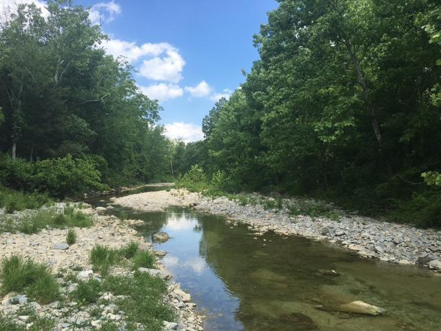 41.05-ac Beasley Fork Road Manchester, OH 45144 - Photo 1 of 1