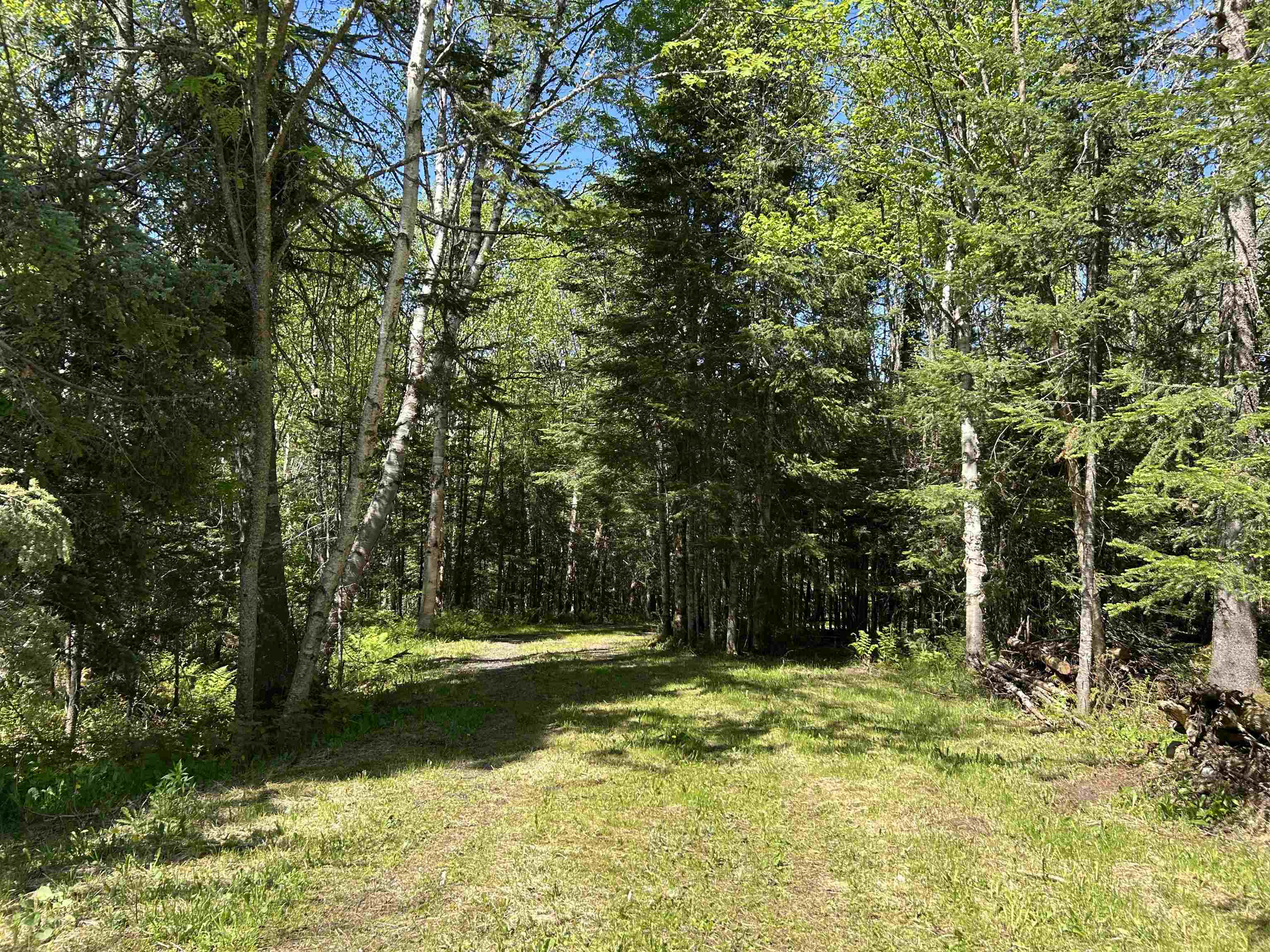 242 Noyes Road Stewartstown, NH 03576 - Photo 2 of 60