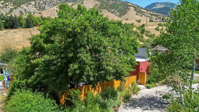 510 Spring Creek Road Providence, UT 84332 - Photo 83 of 97 Lush tree canopy providing natural shade