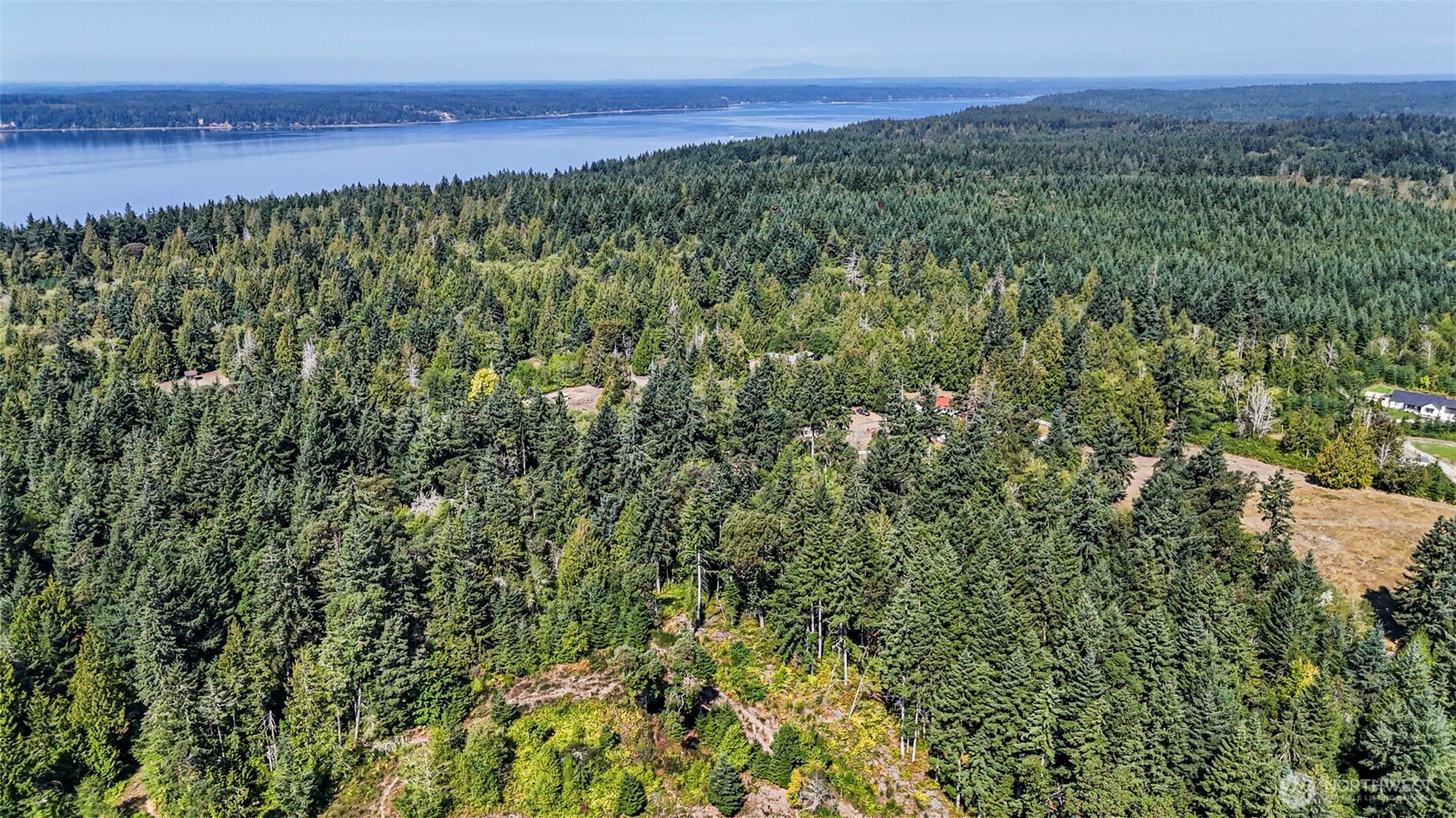 18220 70th St Court Southwest Longbranch, WA 98351 - Photo 16 of 21 a view of a lush green forest with a street