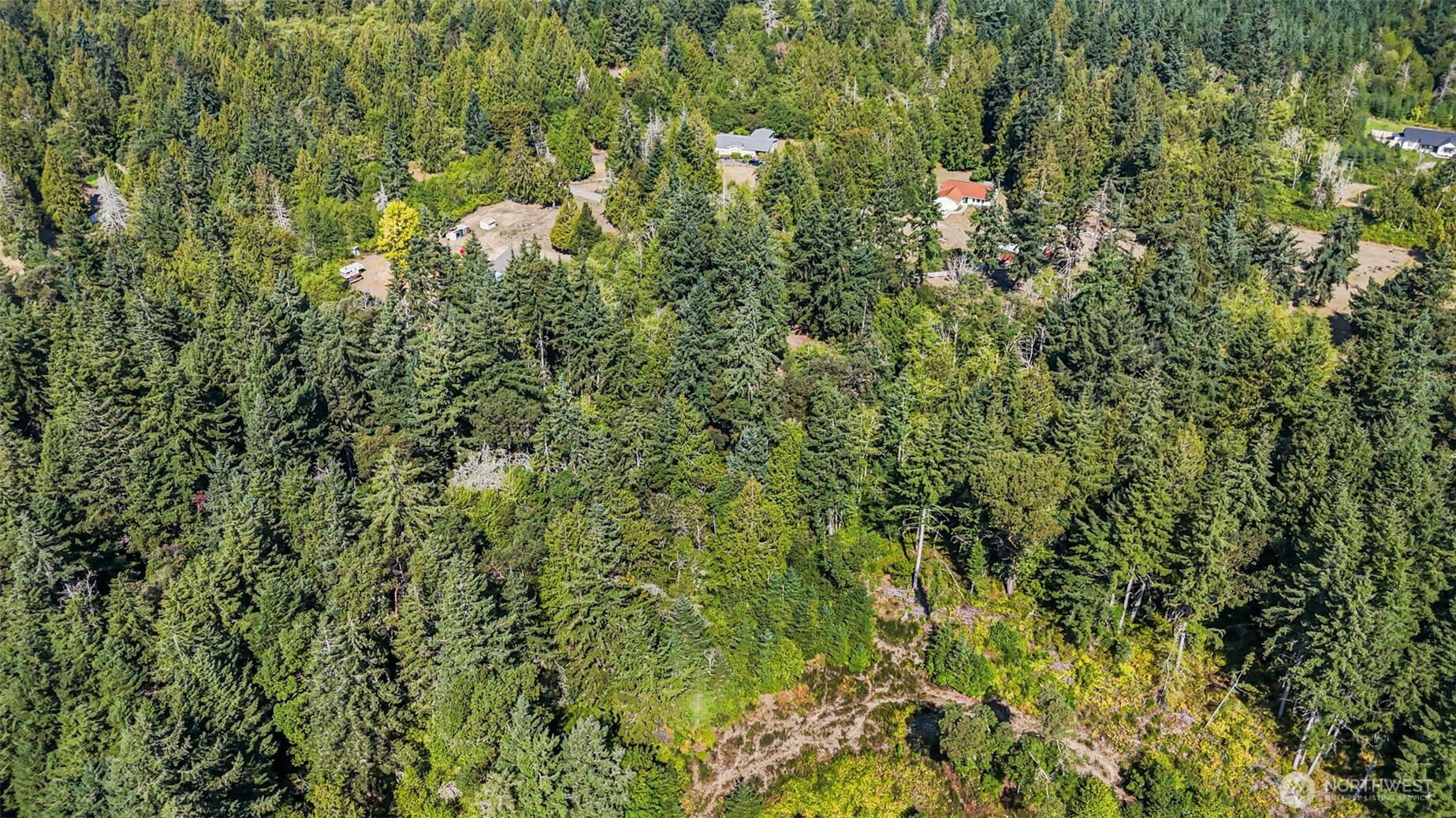 18220 70th St Court Southwest Longbranch, WA 98351 - Photo 17 of 21 a view of a yard