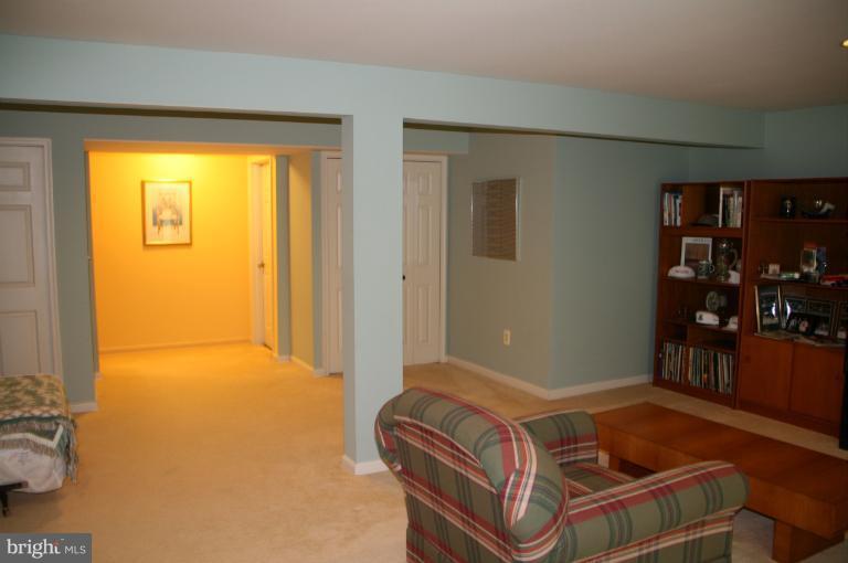 162 Spring Pl Way Annapolis, MD 21401 - Photo 11 of 30 Rec Room