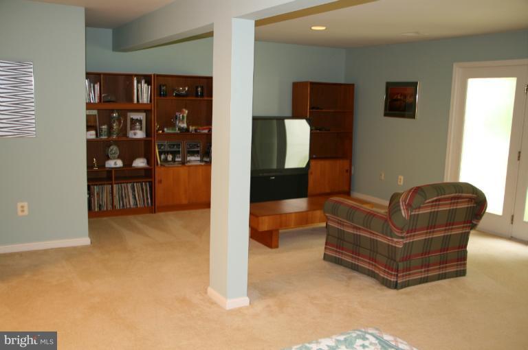 162 Spring Pl Way Annapolis, MD 21401 - Photo 7 of 30 downstairs finished basement