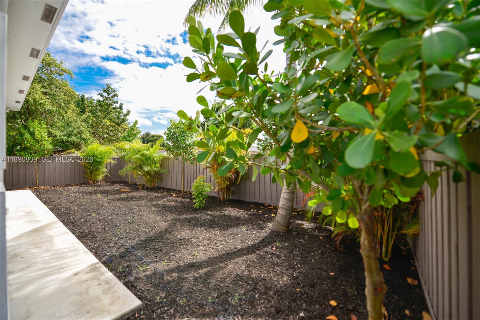 635 Southwest 9th Street Hallandale Beach, FL 33009 - Photo 28 of 38 a backyard of a house