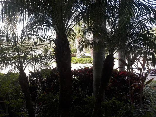 a kitchen with a refrigerator and white cabinets