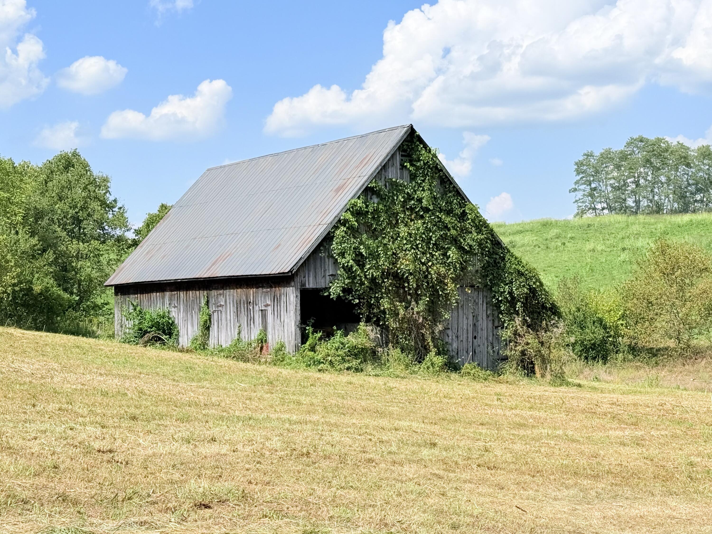 1363 Levy Road Paris, KY 40361 - Photo 16 of 35 IMG_8121