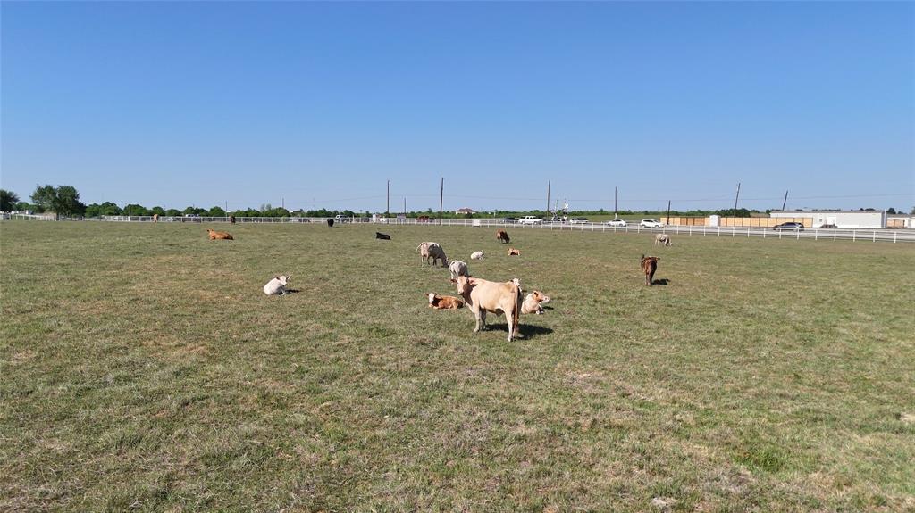 111 Lund Road Elgin, TX 78621 - Photo 12 of 15 a view of a lake with a table and chairs