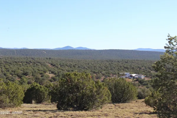 a view of a dry yard with mountain