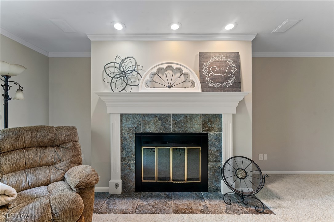 1175 East Calla Road, Unit C215 Youngstown, OH 44514 - Photo 13 of 44 Gas fireplace