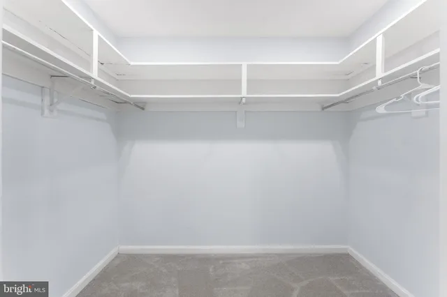 a view of an empty walk in closet