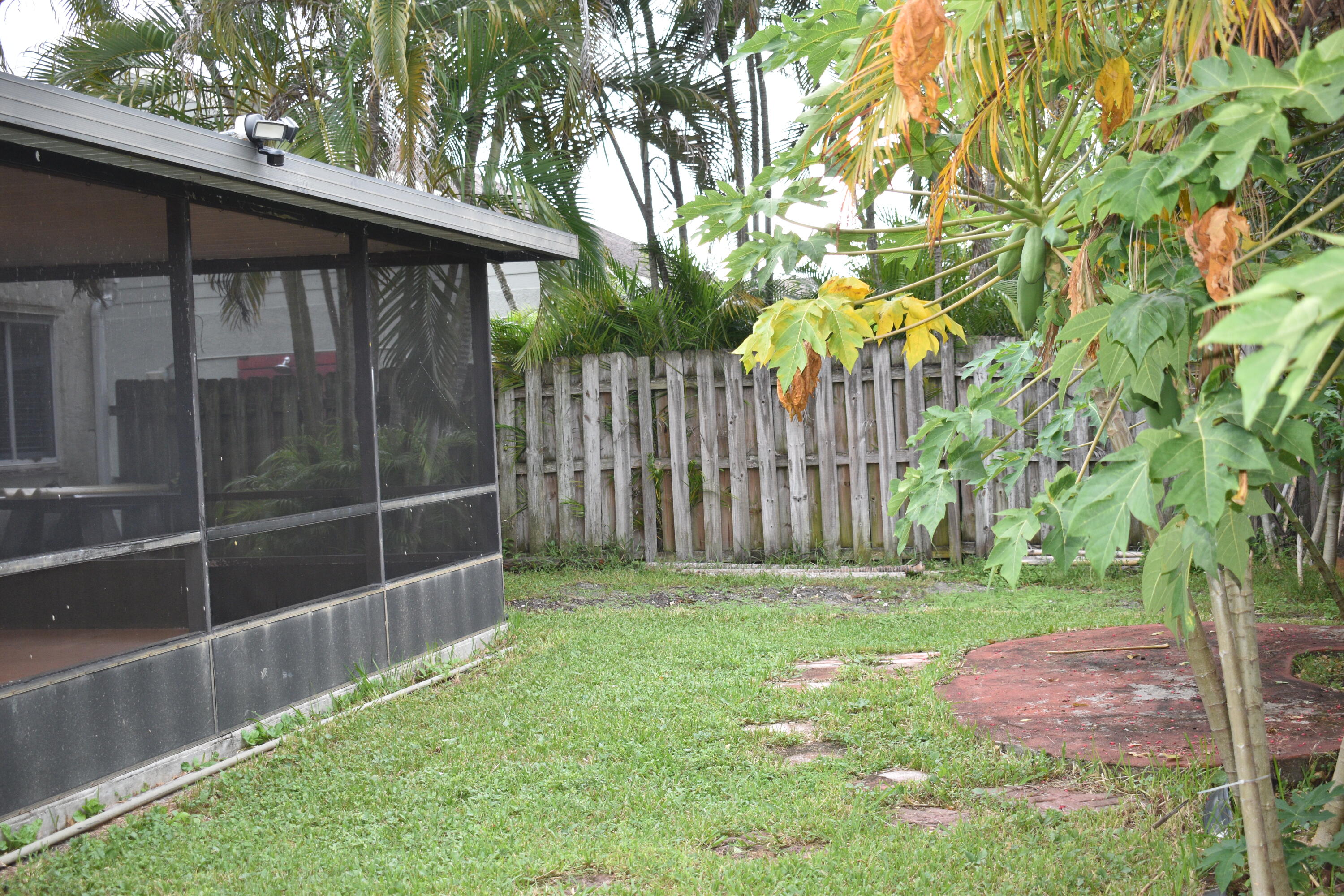23188 Bentley Place Boca Raton, FL 33433 - Photo 19 of 20 rear yard 4