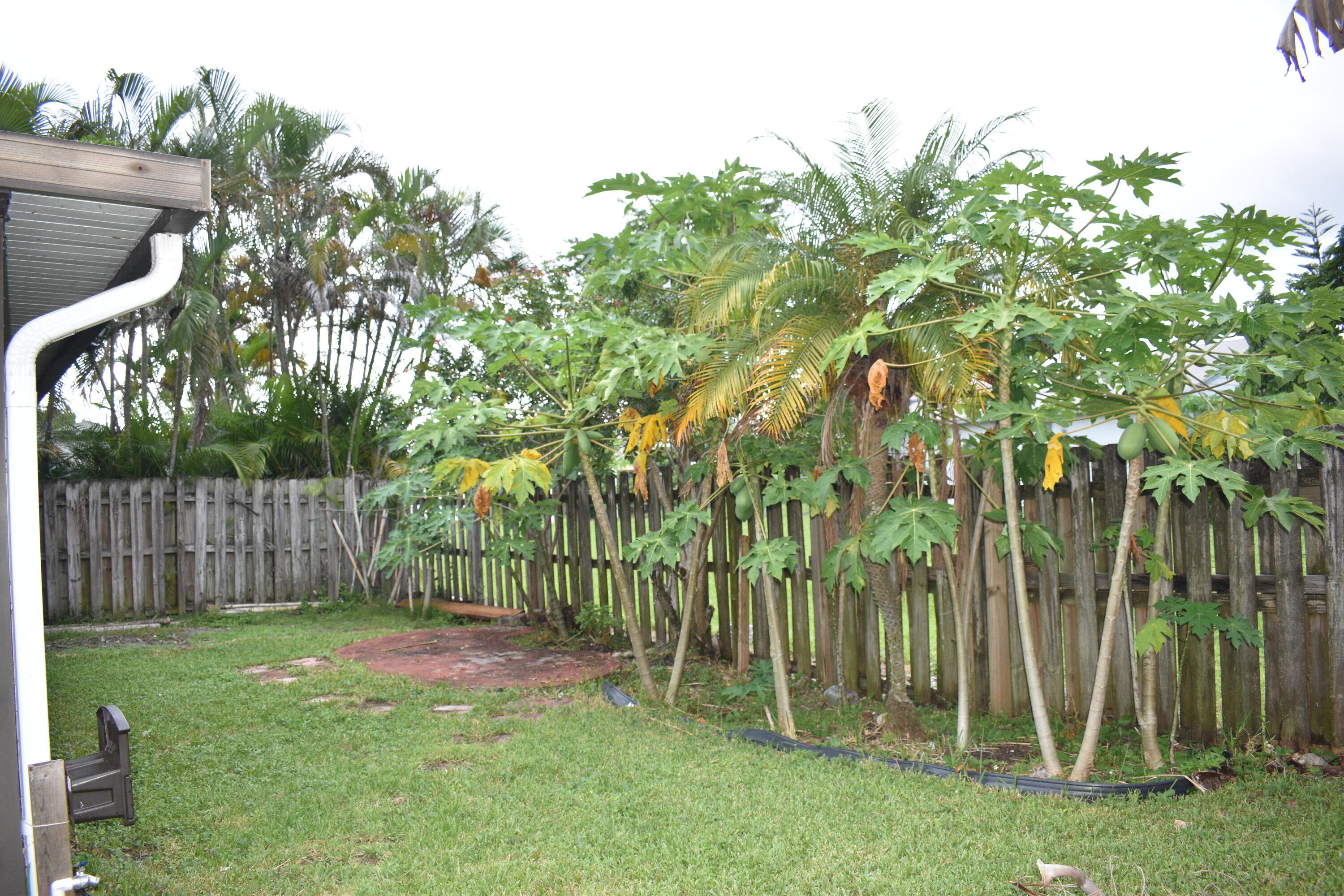 23188 Bentley Place Boca Raton, FL 33433 - Photo 20 of 20 rear yard