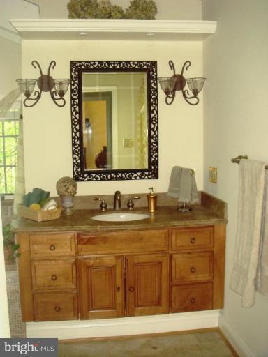419 Seneca Road Great Falls, VA 22066 - Photo 23 of 30 Master Bath #2