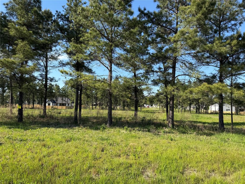 112 Faith Plantation Drive, Unit 39 Princeton, LA 71067 - Photo 7 of 8 a view of yard with tree
