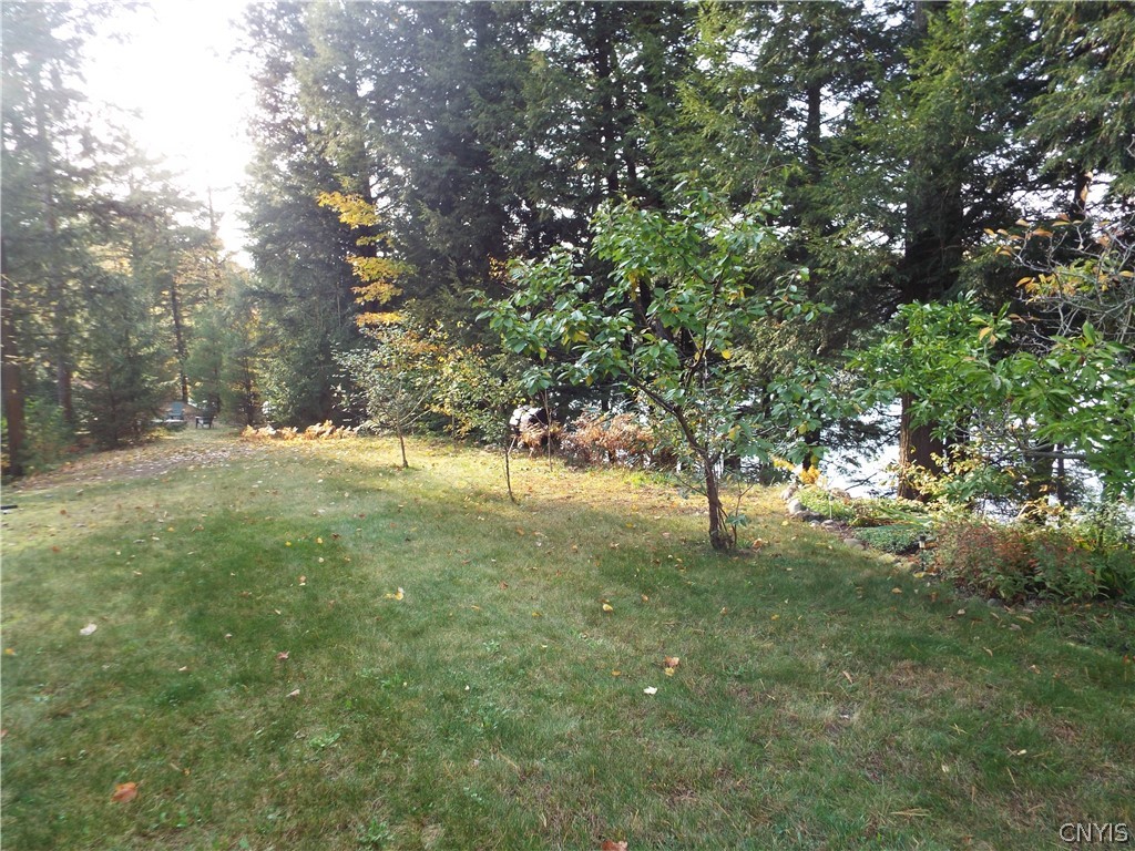 62 Krigbaum Drive Williamstown, NY 13302 - Photo 39 of 45 Yard with Fruit Trees Waterfront