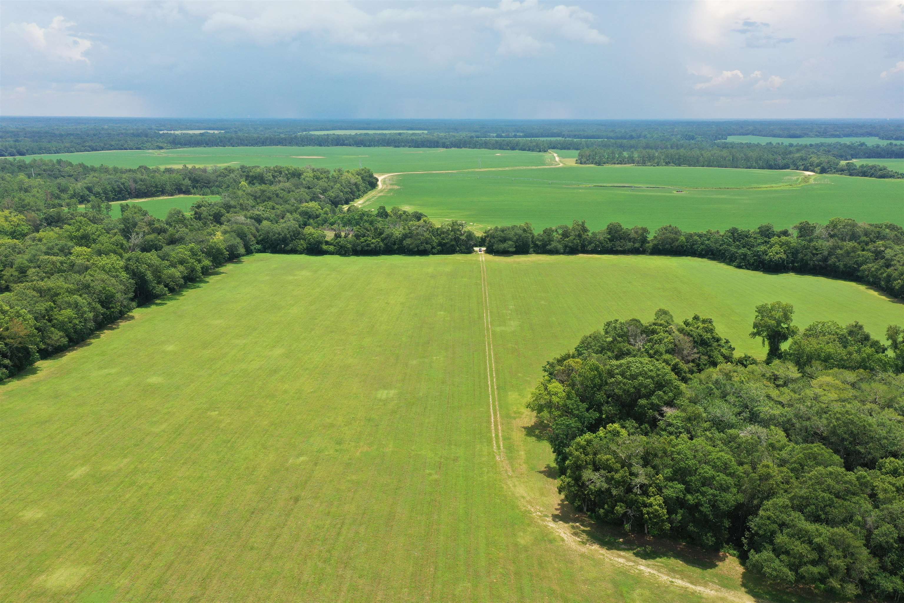 Xx Xx Max Herrin Road Quincy, FL 32352 - Photo 10 of 46