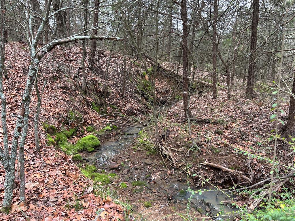 2104 Peterson Road Denison, TX 75021 - Photo 5 of 8