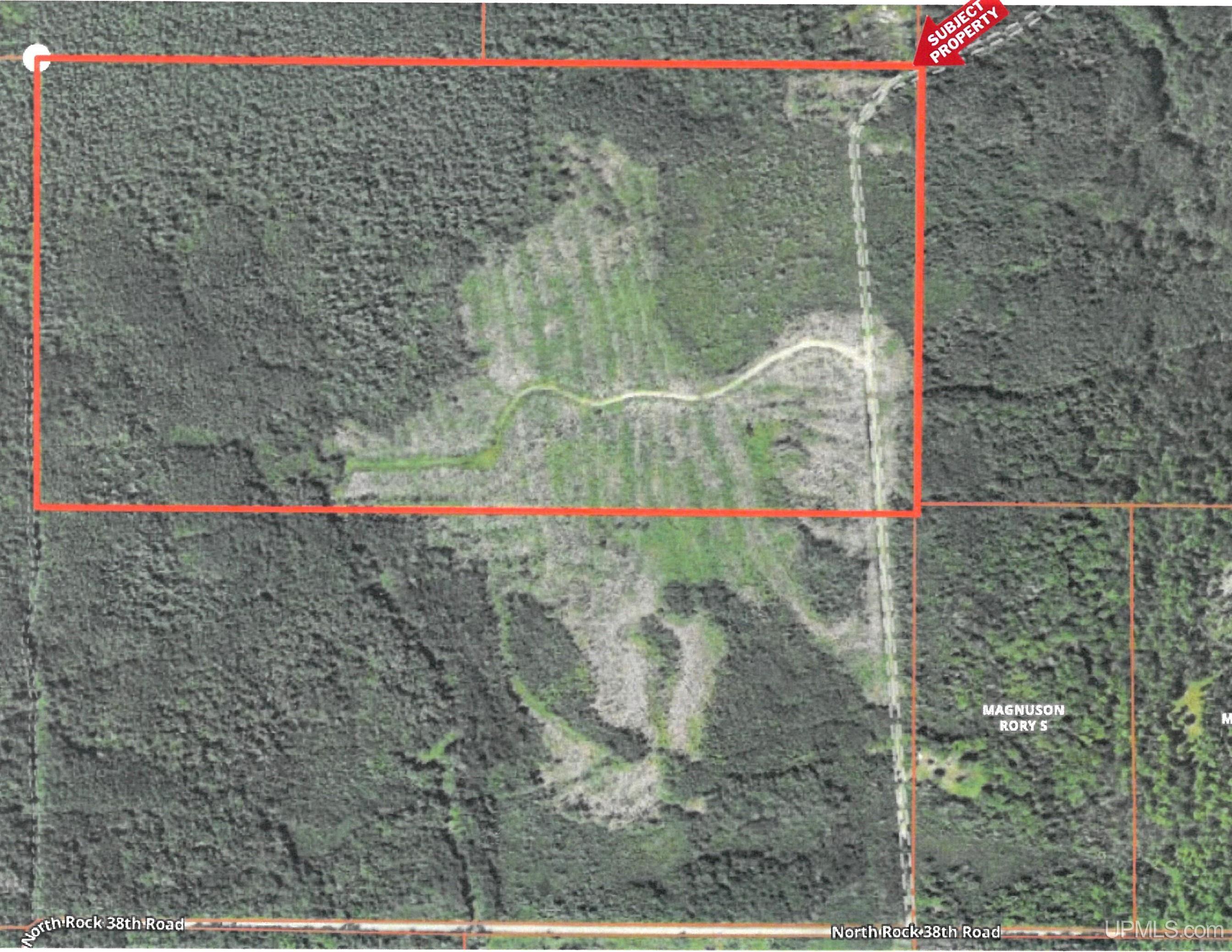 80 North Rd Rock Mi 49880 Road Rock, MI 49880 - Photo 2 of 12