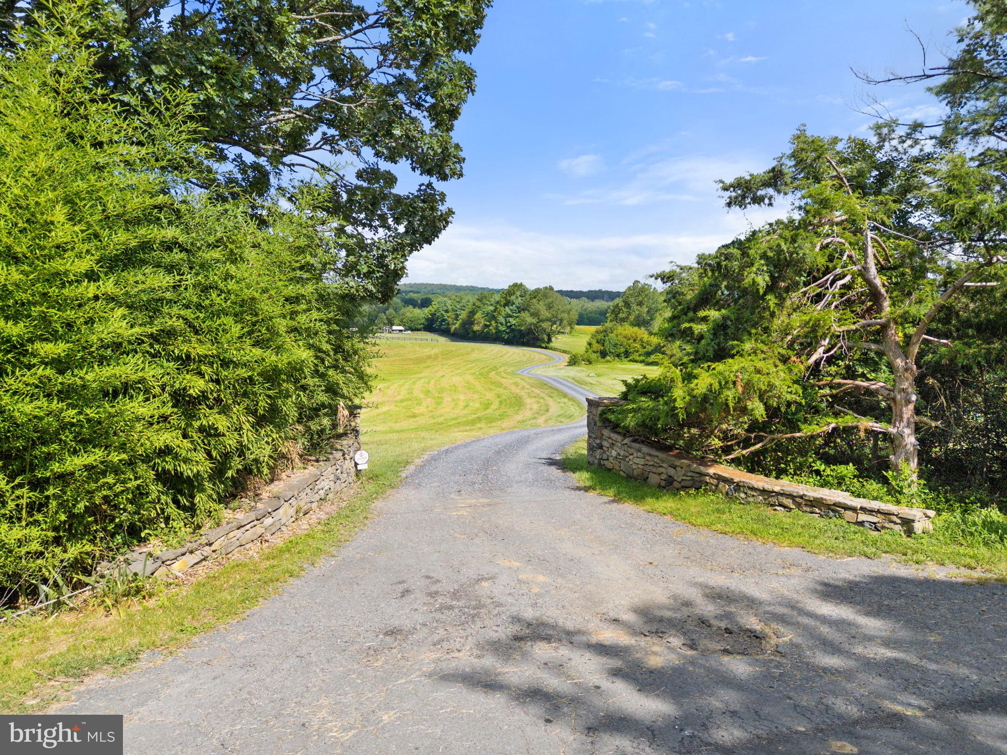 3418 Halfway Road The Plains, VA 20198 - Photo 3 of 106 a view of a lake with a yard