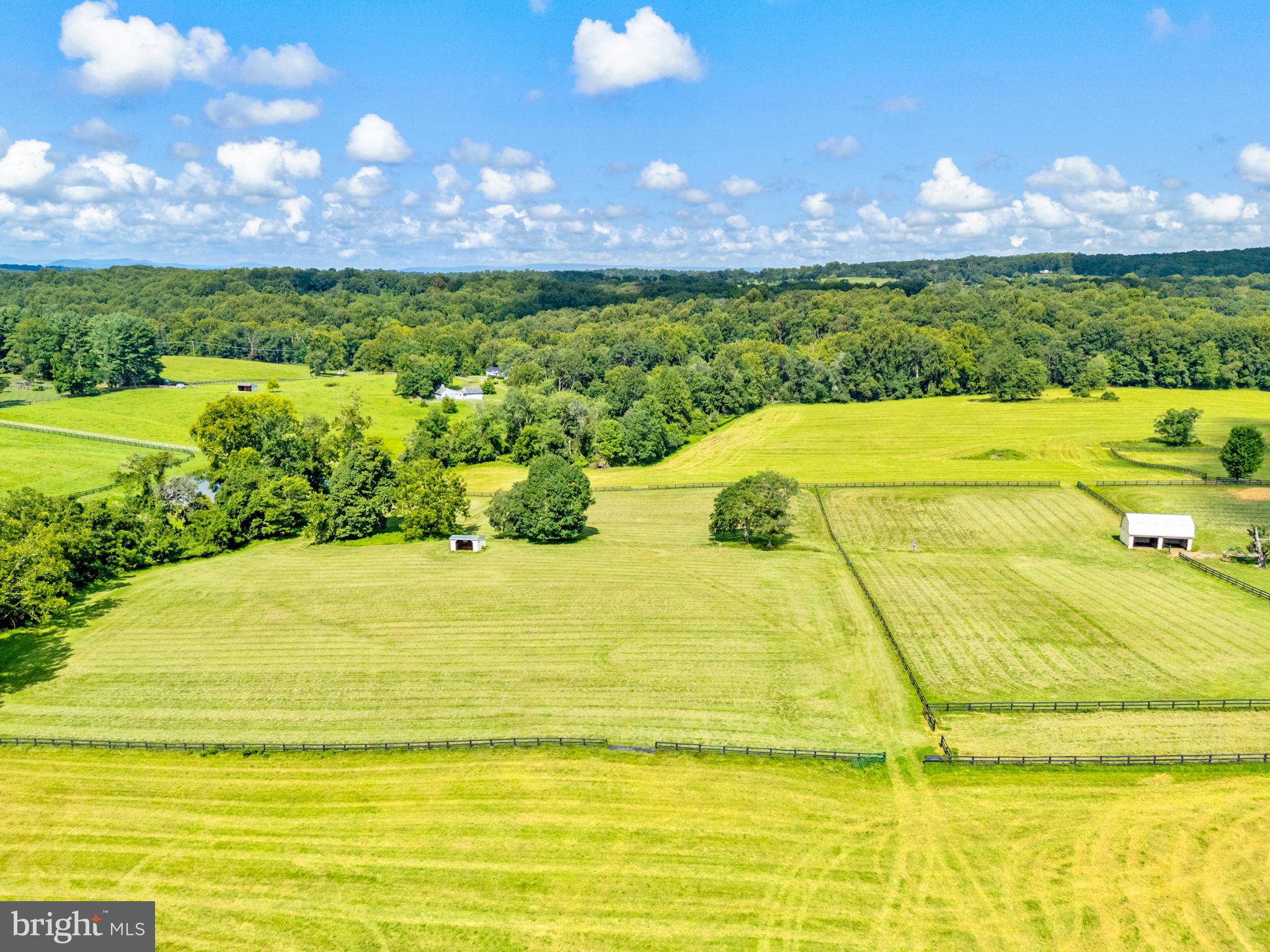 3418 Halfway Road The Plains, VA 20198 - Photo 69 of 106 Large paddocks