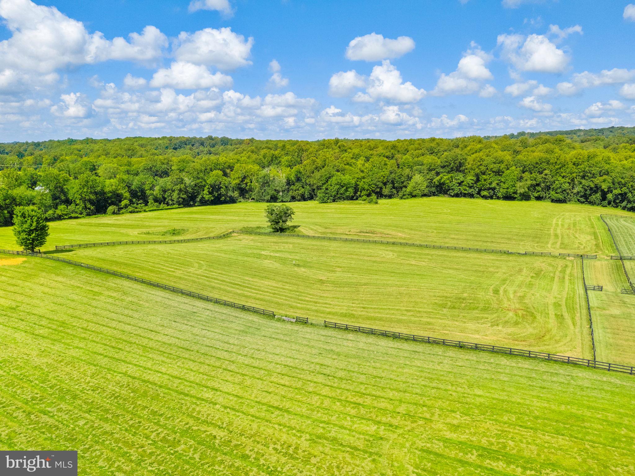 3418 Halfway Road The Plains, VA 20198 - Photo 85 of 106