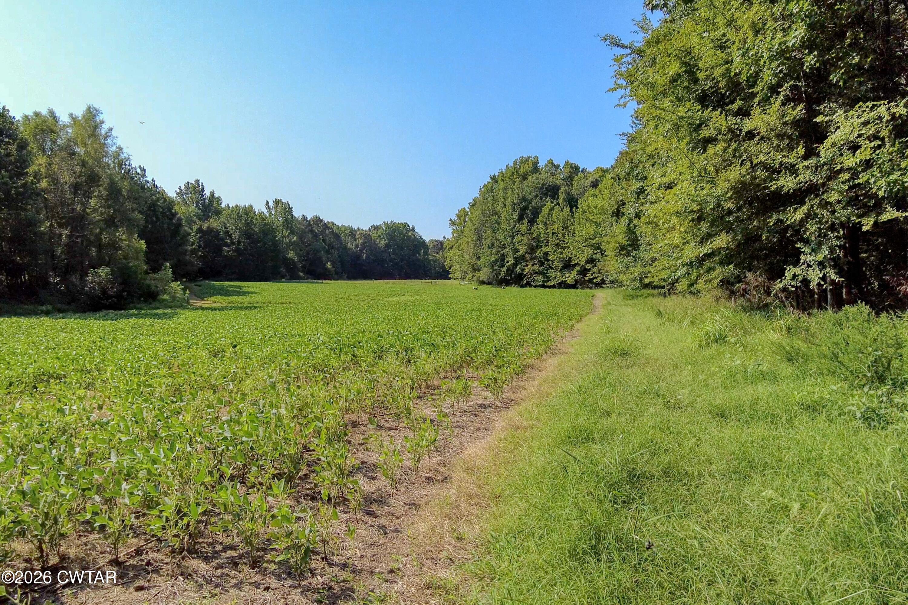 0 Finch Road Gleason, TN 38229 - Photo 14 of 25 HH1