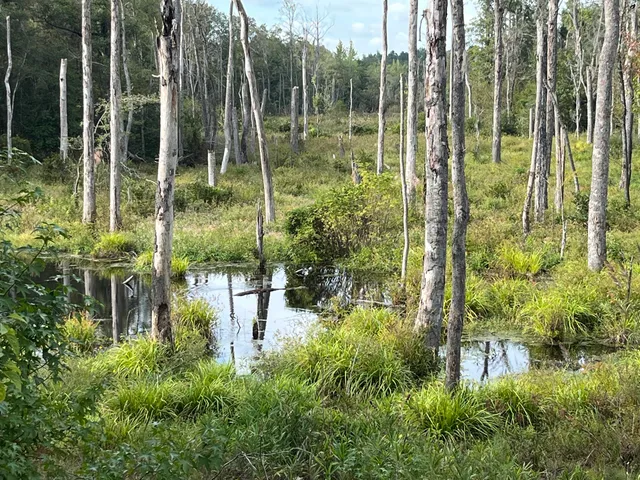 $850,000 | 635 Royal Road, Girard, GA 30426