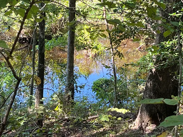 $850,000 | 635 Royal Road, Girard, GA 30426