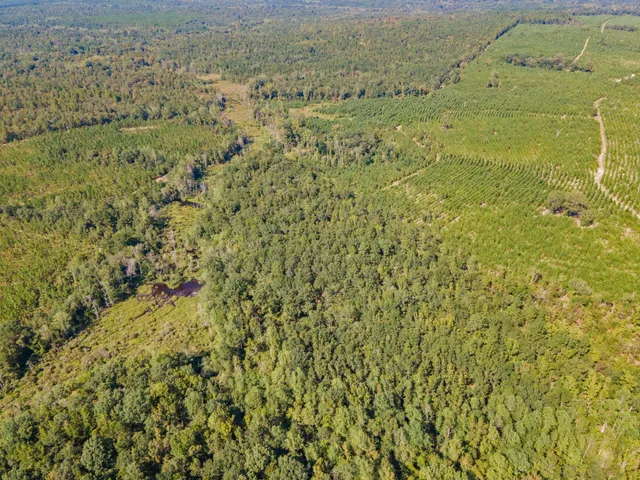 $850,000 | 635 Royal Road, Girard, GA 30426