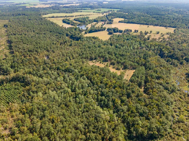 $850,000 | 635 Royal Road, Girard, GA 30426