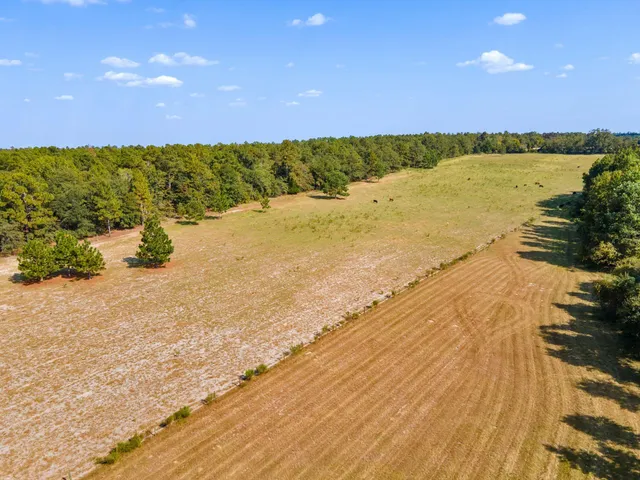 $850,000 | 635 Royal Road, Girard, GA 30426