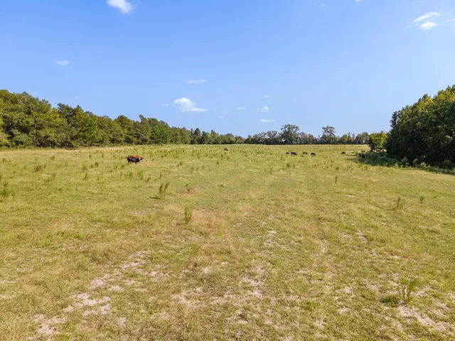 $850,000 | 635 Royal Road, Girard, GA 30426