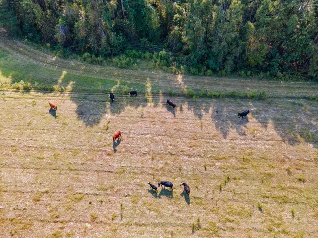 $850,000 | 635 Royal Road, Girard, GA 30426