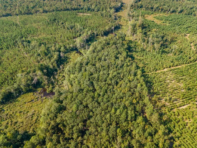 $850,000 | 635 Royal Road, Girard, GA 30426