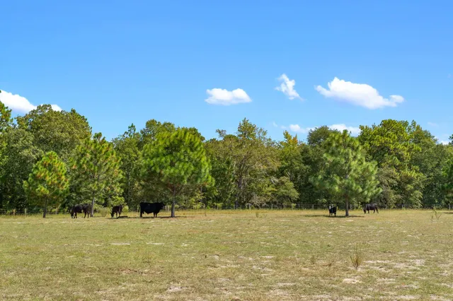 $850,000 | 635 Royal Road, Girard, GA 30426