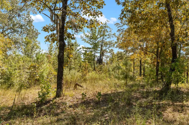 $850,000 | 635 Royal Road, Girard, GA 30426