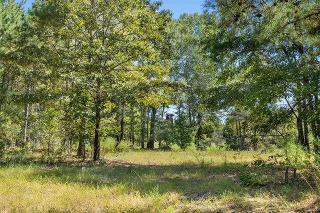 $850,000 | 635 Royal Road, Girard, GA 30426