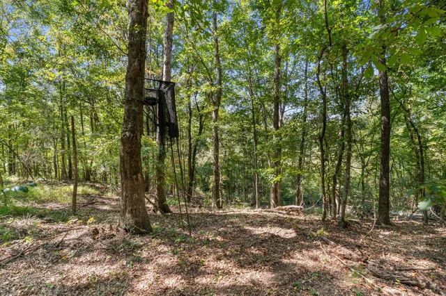 $850,000 | 635 Royal Road, Girard, GA 30426